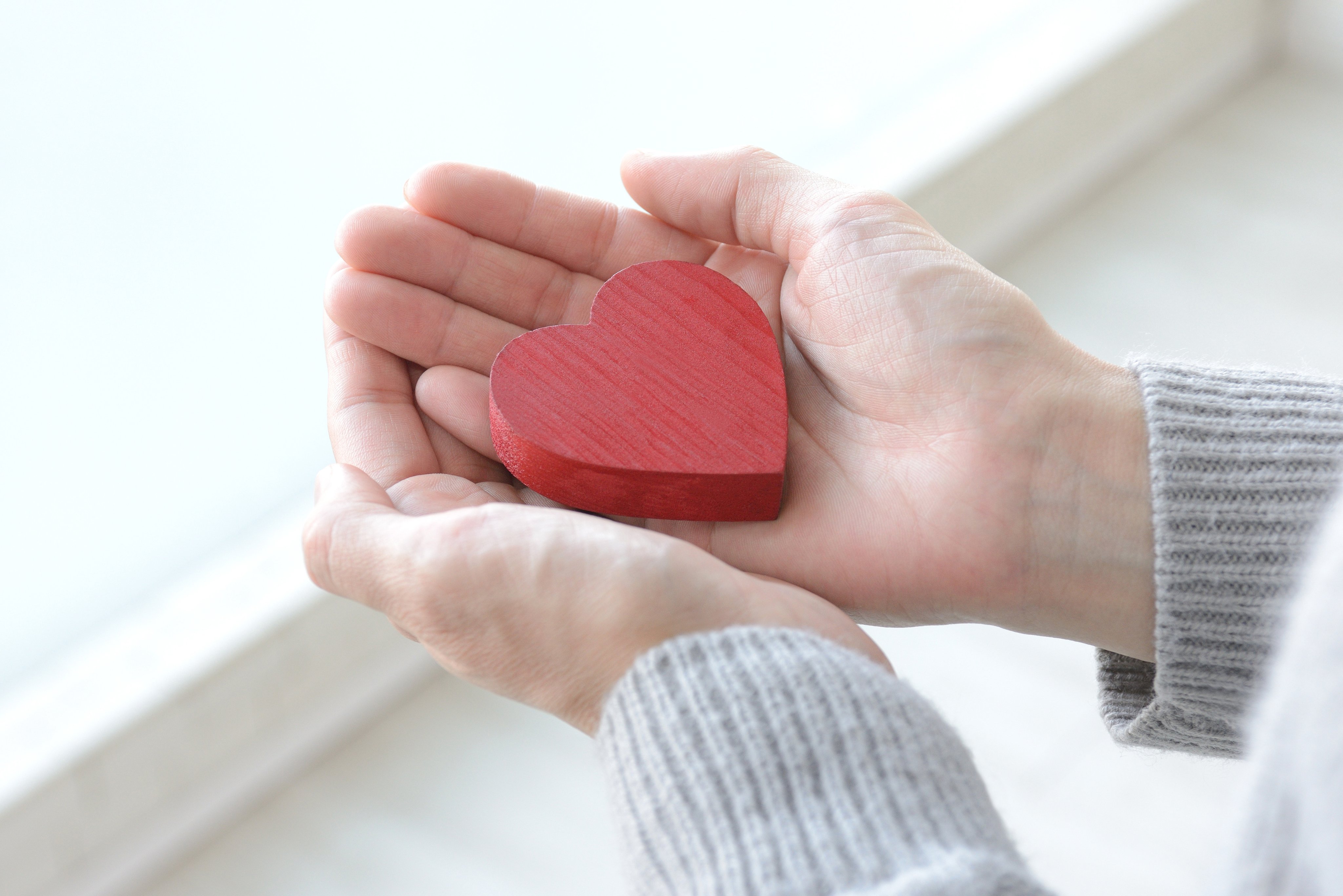 数多くの成功実績で安心サポート